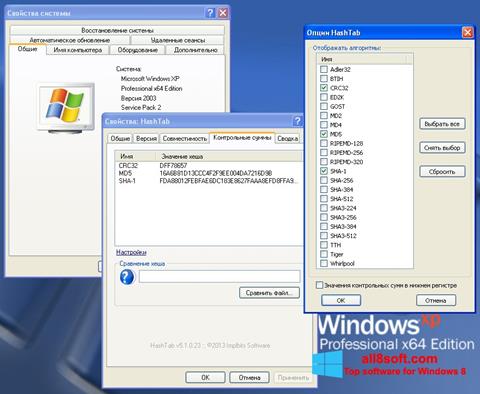 צילום מסך HashTab Windows 8