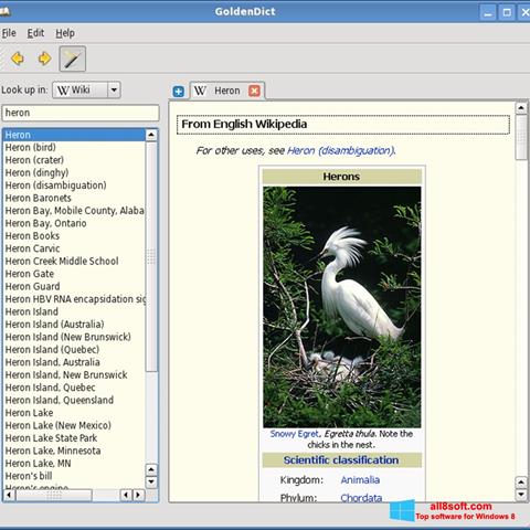 צילום מסך GoldenDict Windows 8