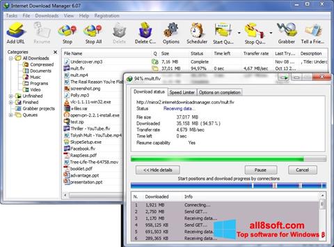 צילום מסך Internet Download Manager Windows 8