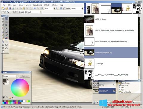צילום מסך Paint.NET Windows 8