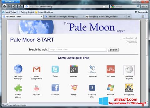 צילום מסך Pale Moon Windows 8