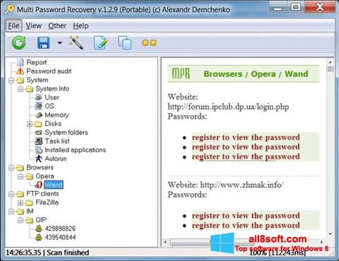 צילום מסך Multi Password Recovery Windows 8