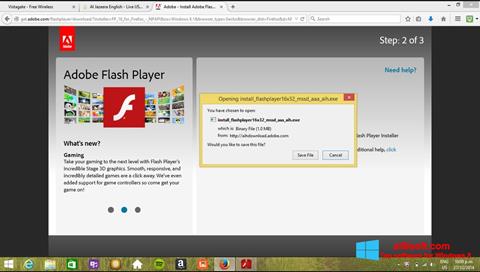 צילום מסך Adobe Flash Player Windows 8